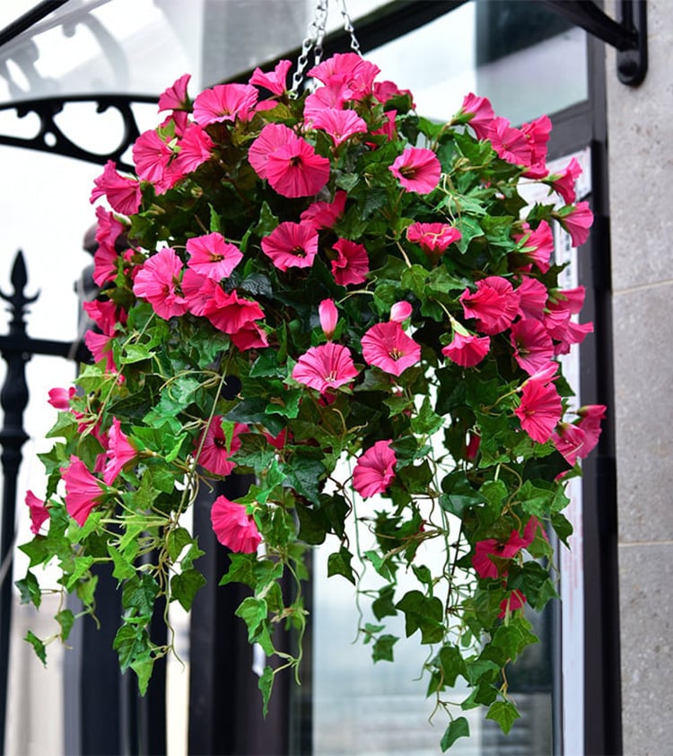 Glory Blossom⢠Everlasting Natural Beauty 0