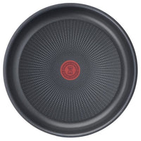 Tefal L1500402 Ingenio Easy Plus Koekenpan 24 cm, anti-aanbak, handvat apart verkocht, alle vuren behalve inductie
