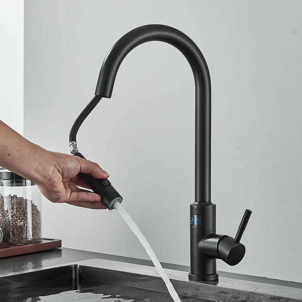 Kitchen Faucet, Digital Temperature Display, Pull Out Nozzles