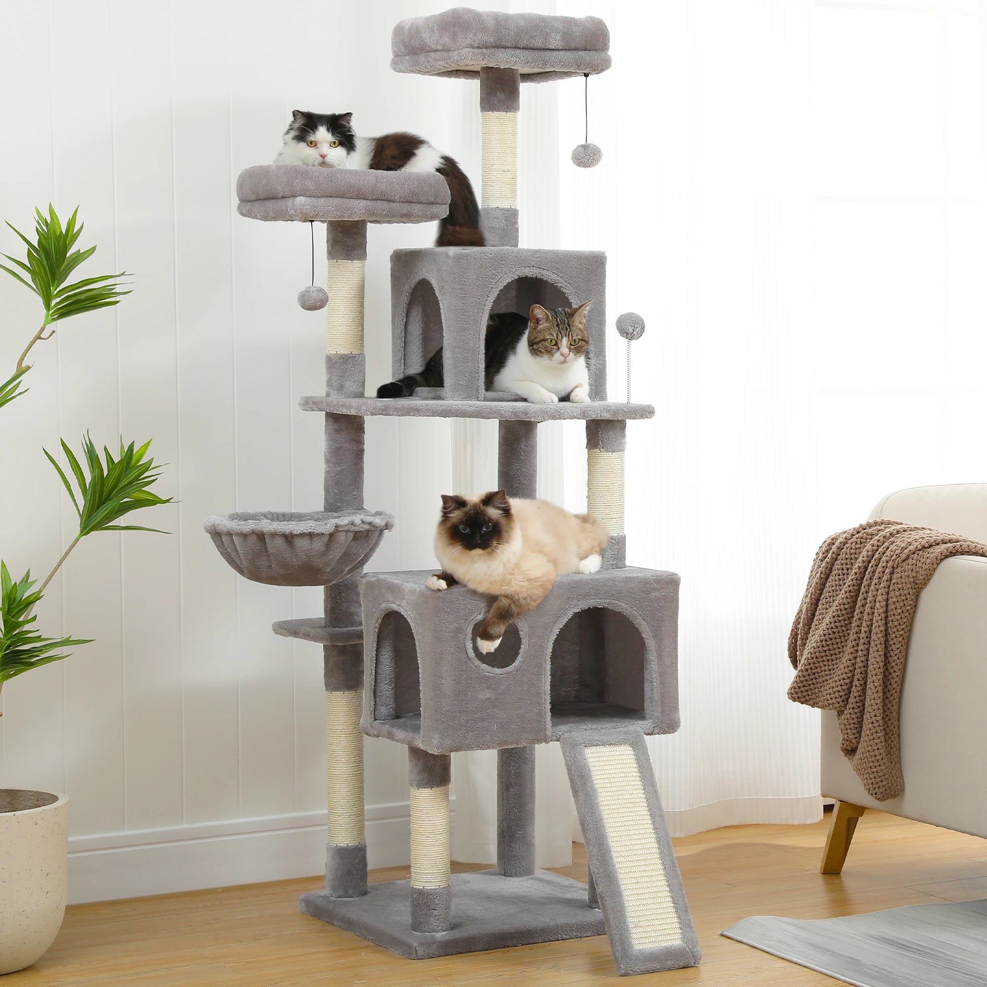 Kattenboom, Hoge Kattentoren, Grote Kattenappartement