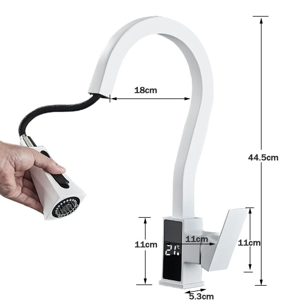 Kitchen Faucet, Pull Out Sprayer, Dual Water Mode